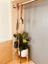 Flora details in the master bedroom fill the corners while still leaving negative space for serenity