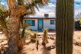 Peekaboo through the Joshua Trees and Saguaro that flourish in the front yard  Search “The-Saguaro-Scottsdale.html” from Mojave Haus