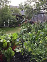 Outdoor, Garden, Gardens, Vegetables, Raised Planters, and Side Yard garden view  Photo 2 of 11 in living on net zero 50 miles from times square by BETTY