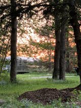 Outdoor, Field, Flowers, Grass, and Trees Oscar set in the woods on site at sunset  Photo 1 of 16 in Pura Via Airstream Adventure by jacqui viaene