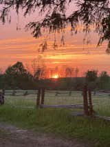 Outdoor, Trees, and Side Yard The view when you open the door  Photo 8 of 16 in Pura Via Airstream Adventure by jacqui viaene