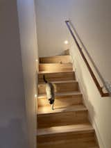 Staircase, Wood Tread, and Wood Railing Felicity House Winder Staircase Main House  Photo 3 of 13 in Felicity House by Nicole Kimberling