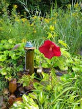 Outdoor, Side Yard, Garden, Boulders, Flowers, Gardens, Stone Patio, Porch, Deck, Infinity Pools, Tubs, Shower, and Woodland Artesian Well with Hibiscus Flower  Photo 3 of 7 in Tiny House Tale by Tina M.E. Author
