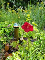 Artesian Well with Hibiscus Flower