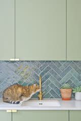 Bracken House by Novak Hiles Architects kitchen sink with cat