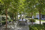Backyard Dining under canopy of Crepe Myrtle trees