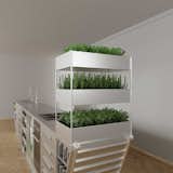 Kitchen Vertical-herbs-garden  Photo 3 of 12 in Zero Waste Kitchen by Ivana Steiner