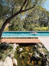 A 1965 Craig Ellwood Home With an Original Koi Pond Is Restored in Los Angeles - Photo 6 of 15 - 