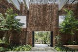 A Biophilic Home in Vietnam Impresses With a Hollow-Brick “Breathing Wall” - Photo 5 of 22 - 