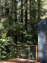 A Refined Wine Country Renovation Feels Like It’s Floating in the Redwoods - Photo 11 of 11 - 