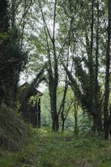 In a Forest in Portugal, a Refined Timber Home Is Hewn From a Traditional Granary - Photo 9 of 33 - 