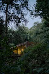 A Prefab Cabin With Massive Windows Touches Down Lightly in a U.K. Forest - Photo 3 of 20 - 
