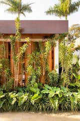 A Home in Brazil Is Partially Climate Controlled by Its Lush Plants - Photo 1 of 15 - 