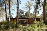 A Prefab Cabin Camouflaged in a South American Forest Glows From Within