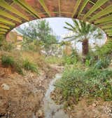 This Glass-Wrapped Home in Spain Is Regenerating Its Surrounding Ecosystem - Photo 15 of 17 - 