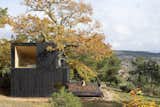 A Majestic Chestnut Tree Appears to Bloom Out of This Cabin’s Butterfly Roof - Photo 10 of 19 - 