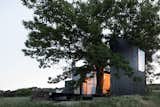 A Majestic Chestnut Tree Appears to Bloom Out of This Cabin’s Butterfly Roof - Photo 6 of 19 - 