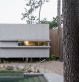 A Stand of Pines Directed the U-Shaped Plan of This Family Home in Portugal - Photo 6 of 20 - 