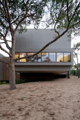 A Stand of Pines Directed the U-Shaped Plan of This Family Home in Portugal - Photo 4 of 20 - 