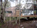This Wood, Glass, and Metal Cabin Hovers Above the Forest Floor in Chile