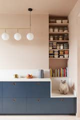 Maison Pour Dodo is a north London flat with a spectrum of storage