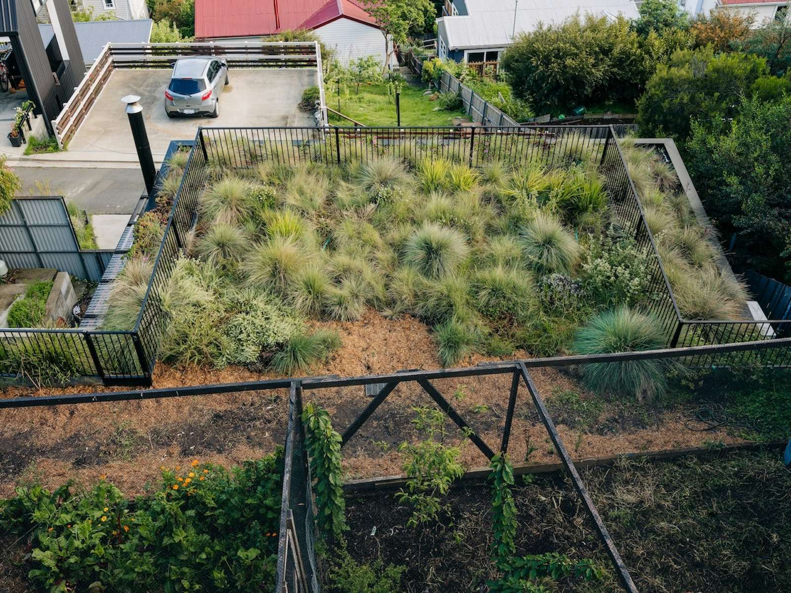 Photo 14 of 15 in In Tasmania, a Backyard House Built Into the Hillside
