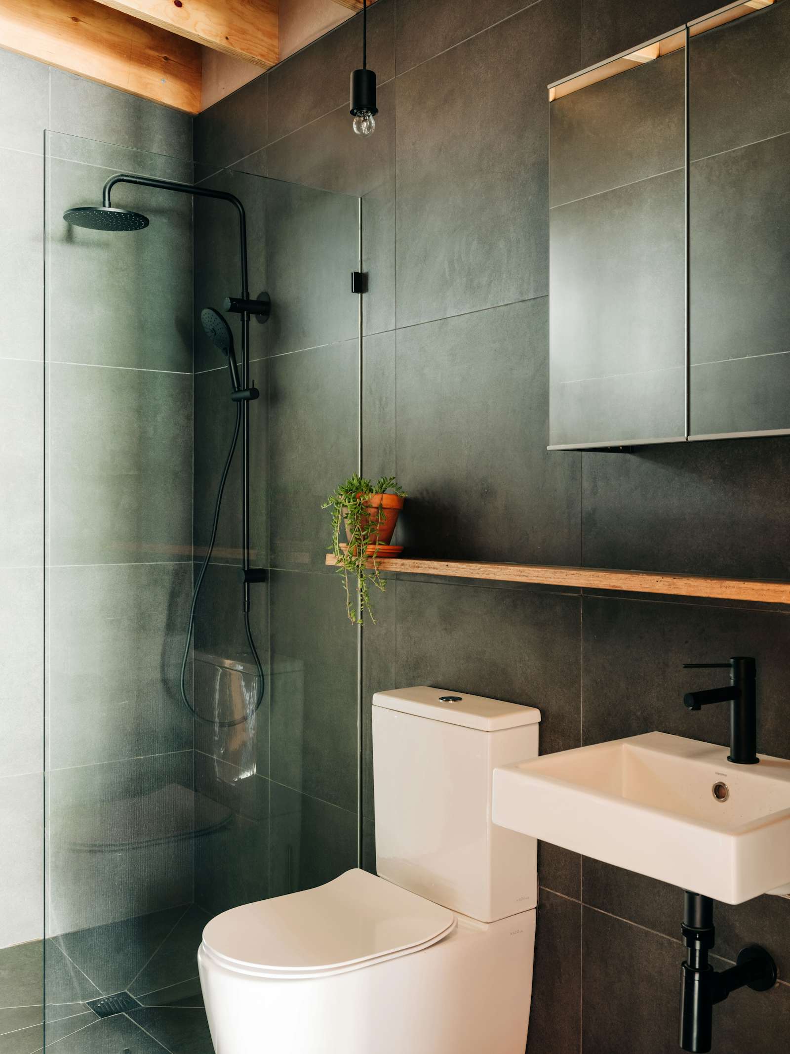 Photo 13 of 15 in In Tasmania, a Backyard House Built Into the Hillside