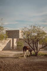 In Mexico, Monolithic Stone Walls Make for a Home as Epic as the Desert Around It - Photo 15 of 16 - 