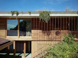 Overflowing Greenery Will Eventually Hide This Coastal Australian Home From the Street - Photo 6 of 32 - 