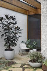 Exposed Rafters Bridge This Australian Home With Its Lushly Landscaped Yard - Photo 8 of 24 - 