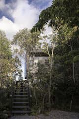 Giant Sliding Doors Reveal an Epic Treetop View at This Brazilian Retreat - Photo 8 of 15 - 