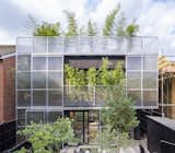 Translucent Screens Slide Open to Bring Fresh Breezes Through This London Home