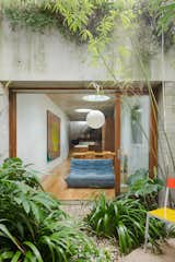 This Landscape Architect Disguised His Backyard Addition in Sydney With a Green Roof - Photo 6 of 13 - 