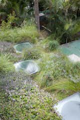 This Landscape Architect Disguised His Backyard Addition in Sydney With a Green Roof - Photo 12 of 13 - 