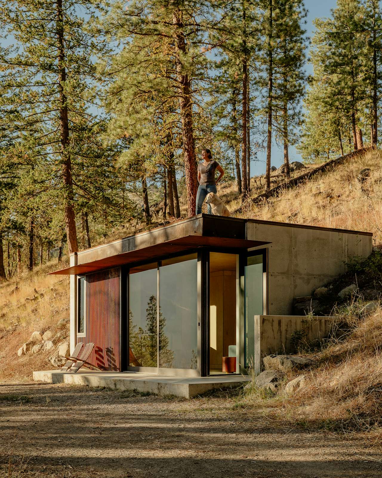 Photo 3 Of 13 In She Built A 330 Square Foot Cabin In One Of Washington photo-3-of-13-in-she-built-a-330-square-foot-cabin-in-one-of-washington