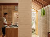 The stunning walls in this London kitchen renovation are made of hempcrete - Photo 5/13 - 