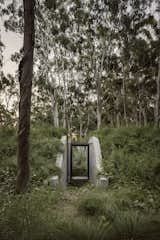 In Argentina, a Home Finds Balance on Uneven Forest Ground - Photo 3 of 15 - 