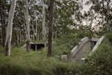 In Argentina, a Home Finds Balance on Uneven Forest Ground - Photo 2 of 15 - 