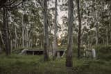 In Argentina, a Home Finds Balance on Uneven Forest Ground - Photo 1 of 15 - 