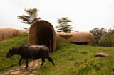 This Mud Home in India Looks Like Something Out of “Star Wars” - Photo 5 of 18 - 