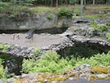 They Camped Out for Two Years to Build a Home in a Catskills Quarry - Photo 17 of 19 - 