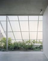 This North Bondi Home Is Built Like a Greenhouse - Photo 7 of 13 - 