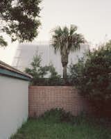 This North Bondi Home Is Built Like a Greenhouse - Photo 12 of 13 - 