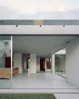 This North Bondi Home Is Built Like a Greenhouse - Photo 9 of 13 - 
