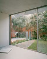This North Bondi Home Is Built Like a Greenhouse - Photo 10 of 13 - 