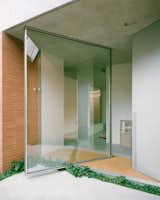 This North Bondi Home Is Built Like a Greenhouse - Photo 11 of 13 - 