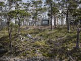 Solar Panels Completely Cover One Side of This 98-Foot-Long Brutalist Home in Tasmania - Photo 4 of 19 -