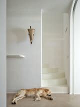 This Home in the Czech Republic Feels Holy (and Is Literally Hole-y) - Photo 16 of 23 - 