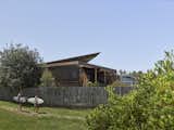 In Australia, a Beach Shack Beloved by Locals Gets a Net-Zero Revamp - Photo 3 of 22 - 