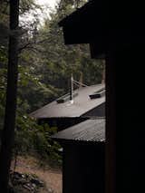 This “Bunkie” in Ontario Was Designed to Disappear Without a Trace - Photo 6 of 14 - 